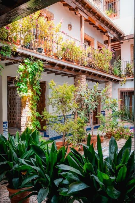 Apartamento Qh Caldeleria Vieja Granada Exterior foto